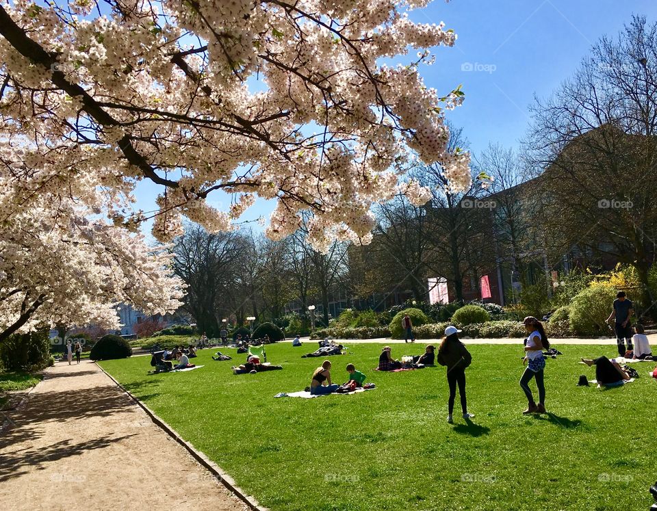 Hamburg.Spring.Park
