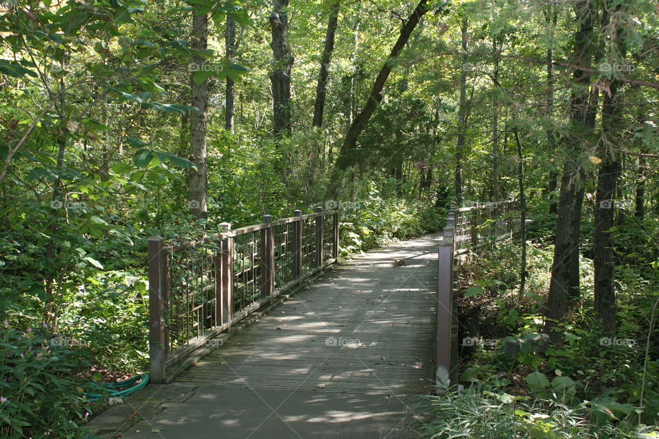 Over the Bridge