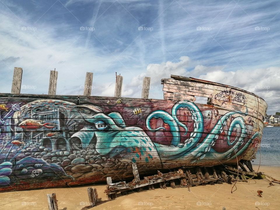 Octopus painted on a shipwreck