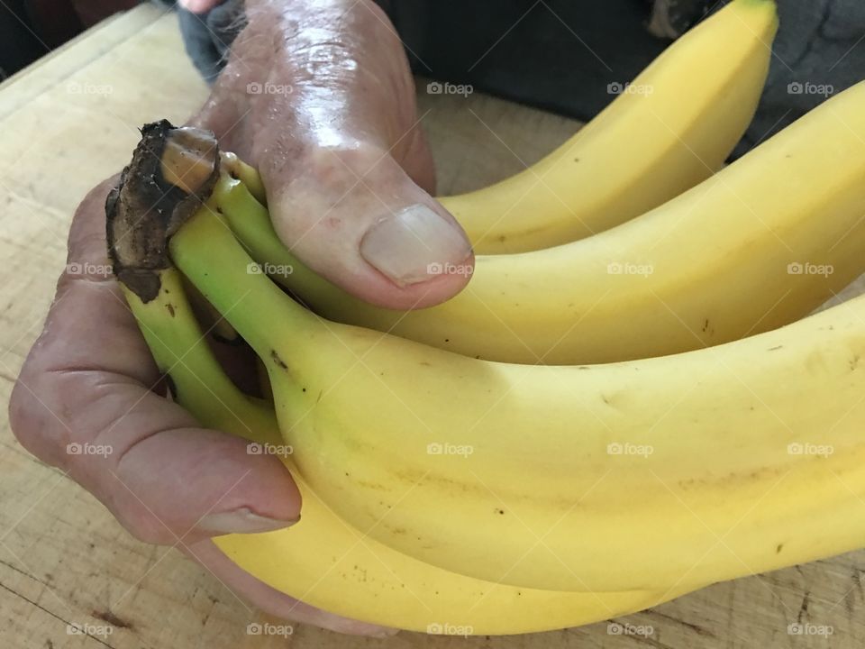 Hand holding bunch of bananas 