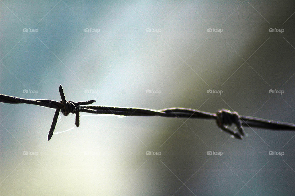 macro wire freedom prison by boozina