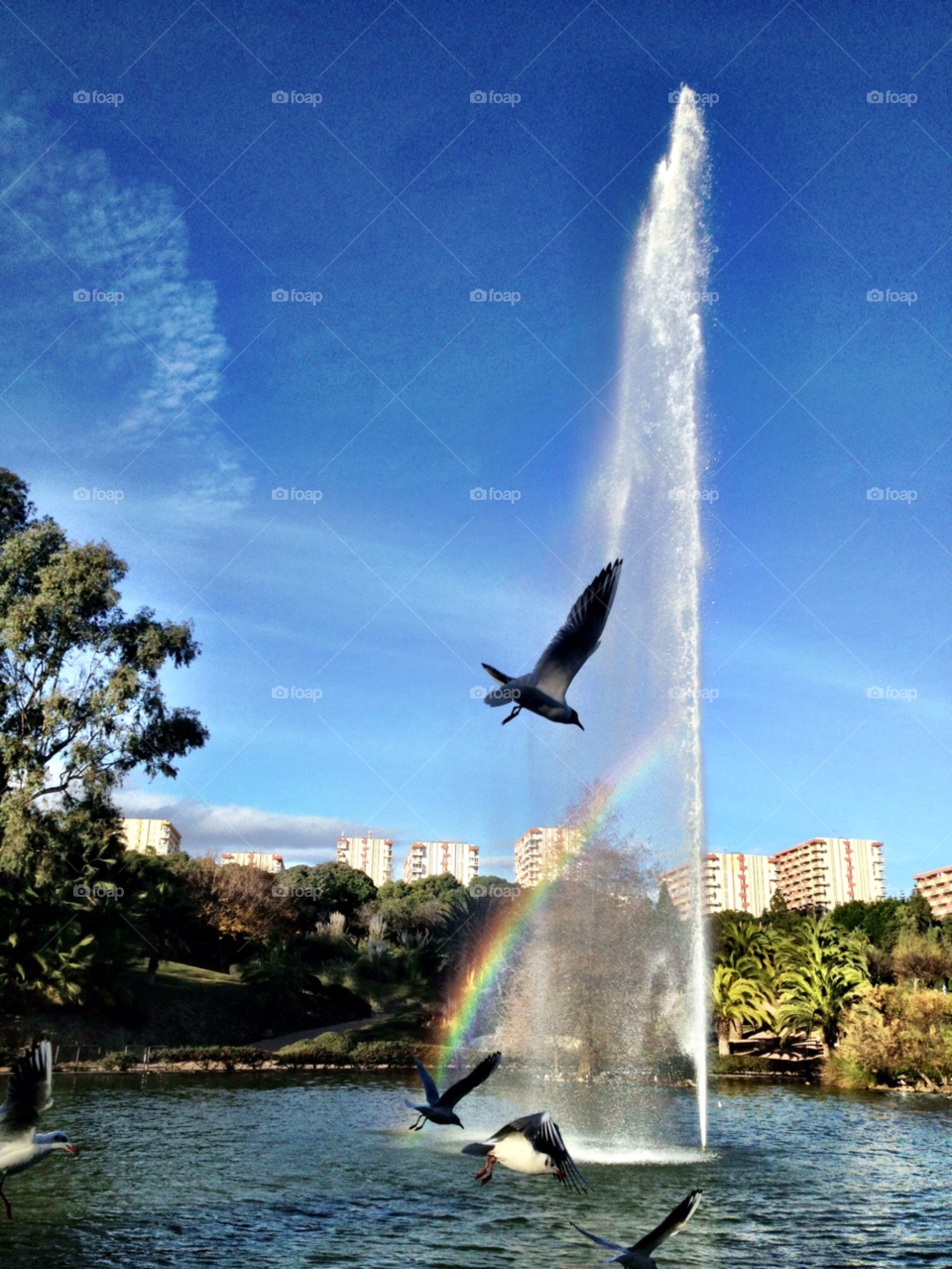 lake park rainbow fountain by stevephot