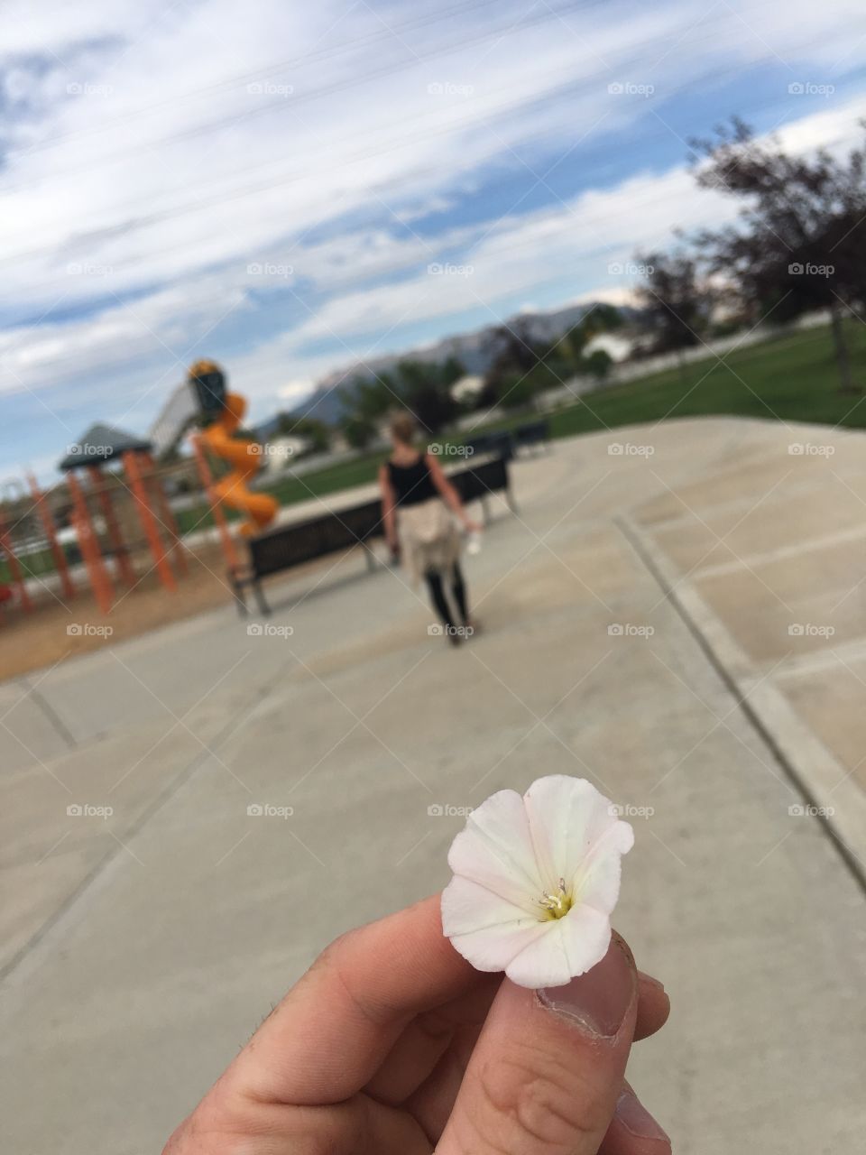 Flower walking 