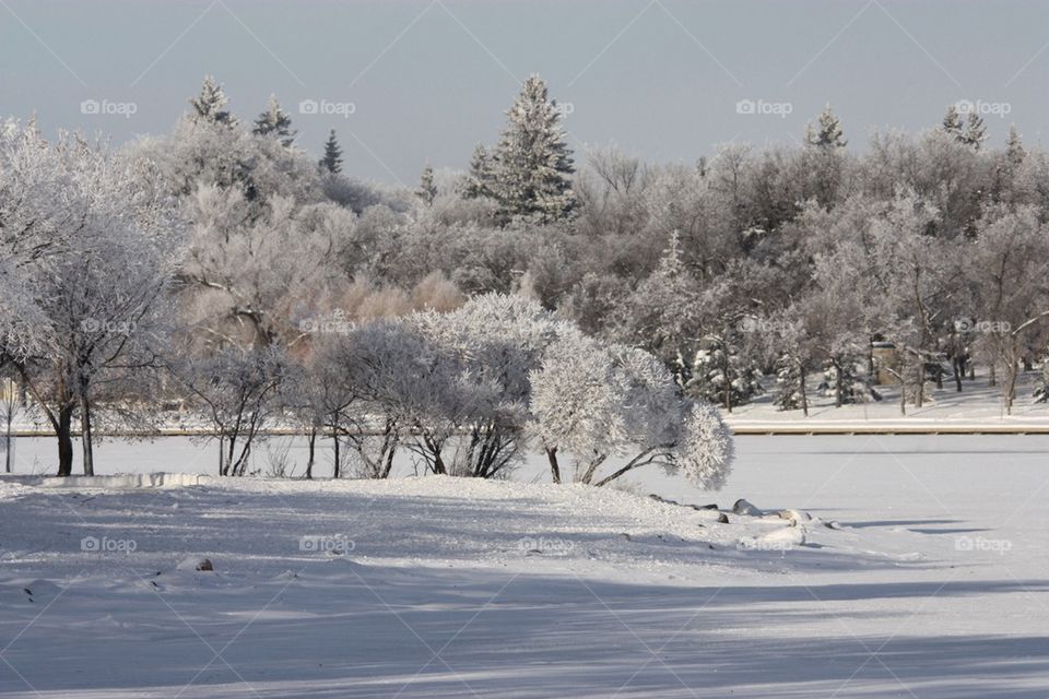 Snow on the lake