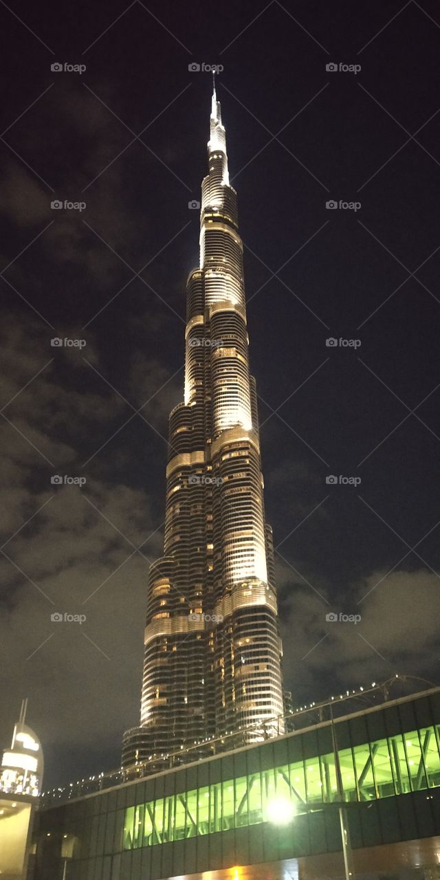 editors' choice: photo of the week