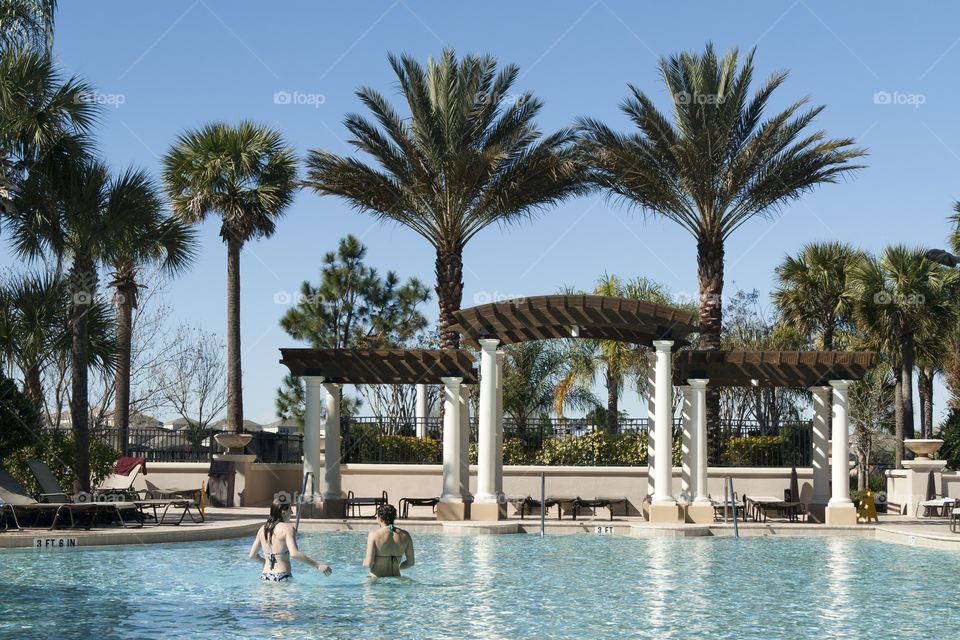 water vacation pool palm trees by redrock