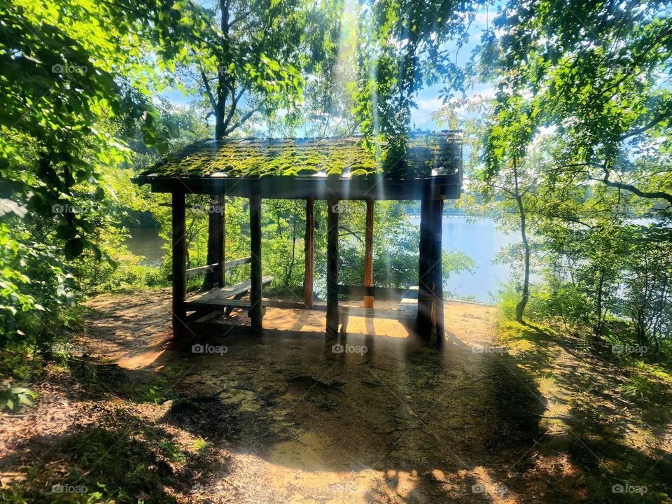 secret hideaway in the forrest