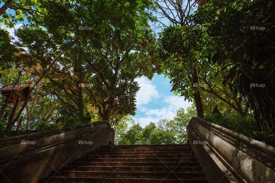 A bridge through the trees in Chiang Mai, Thailand.