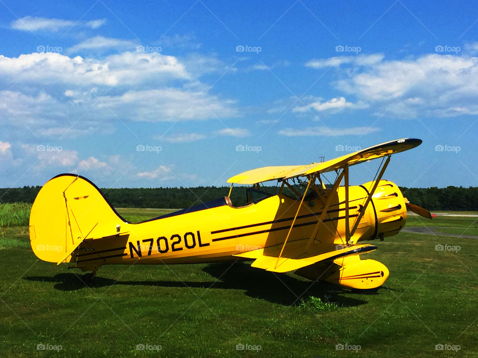 color stories a yellow Cessna biplane