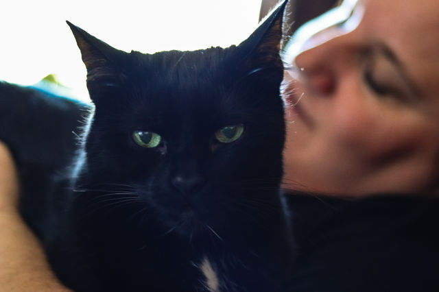 Precious moments with your cat
