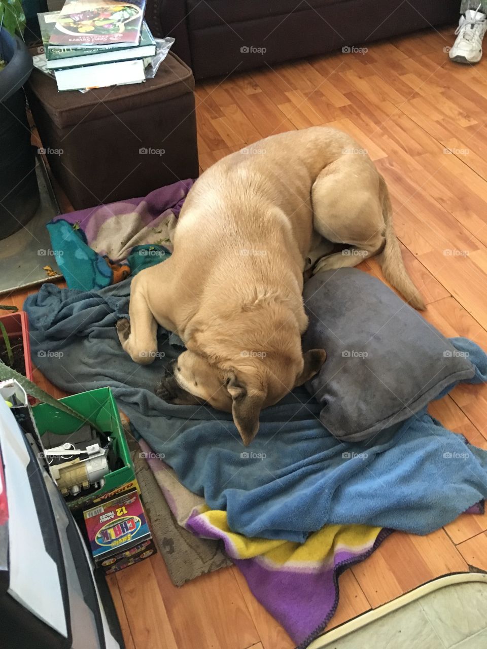 Yeah yeah I know it’s Monday do I have to get up, aren’t we still in quarantine?