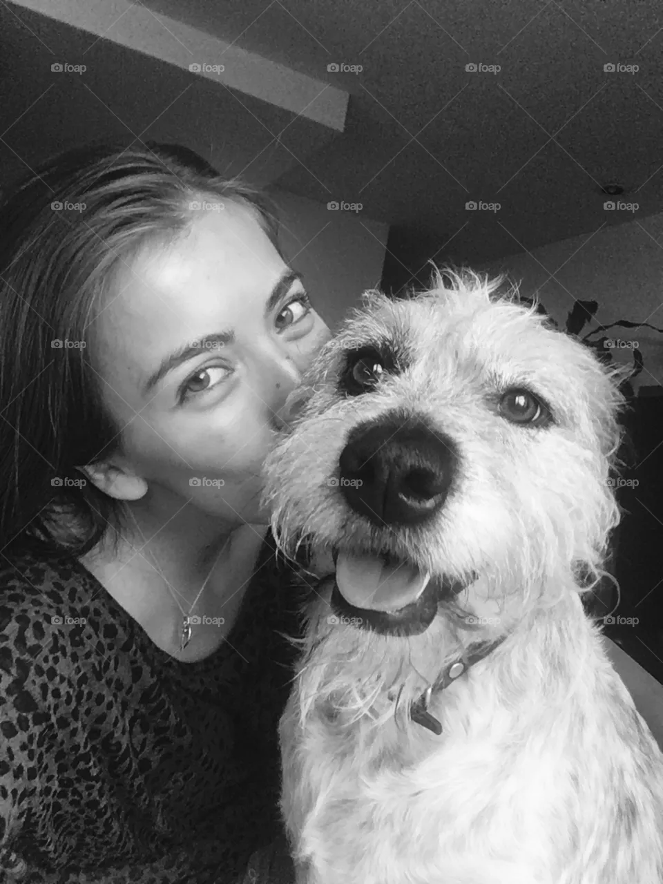 Doggie