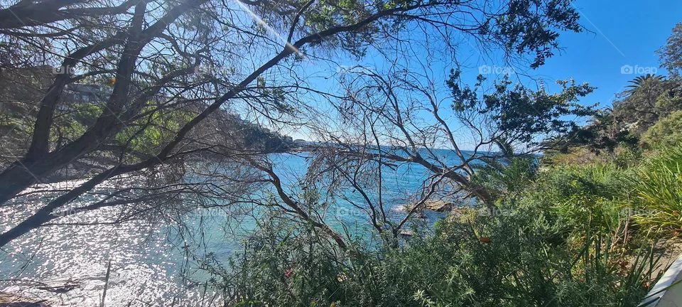 Gordon's Bay Sydney