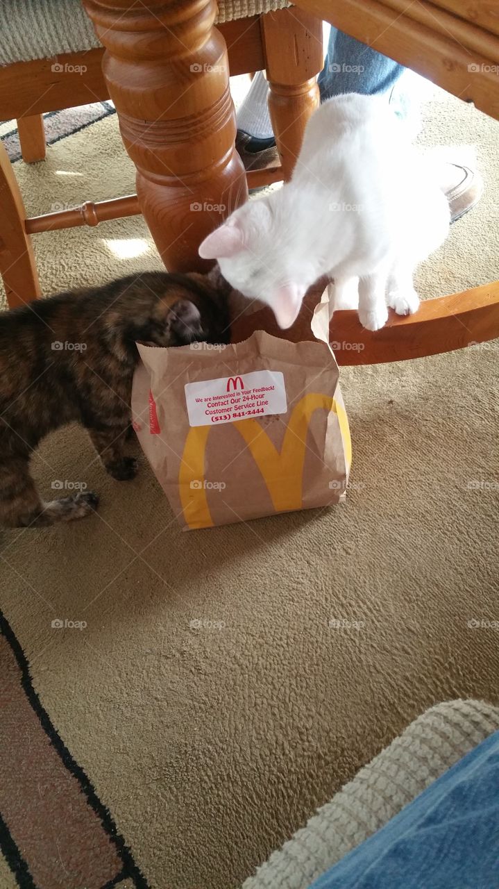 did they leave us some fries?