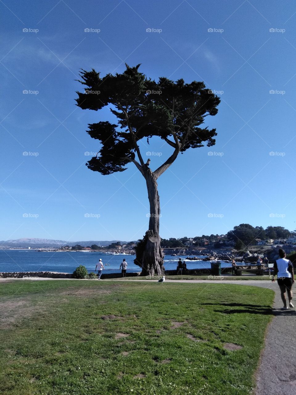 Monterey California lovers pount