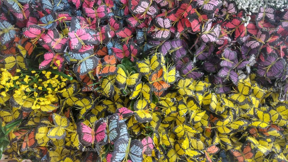 A wall of fake butterflies