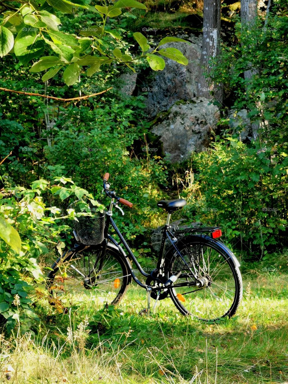 Bicycle in the forrest