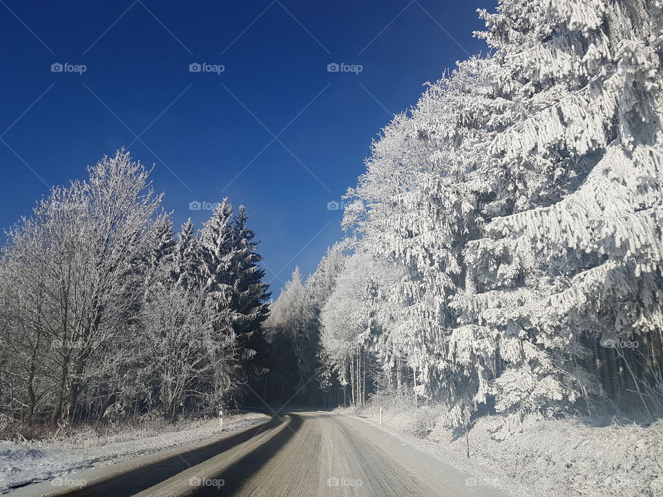 Snowy path in forest