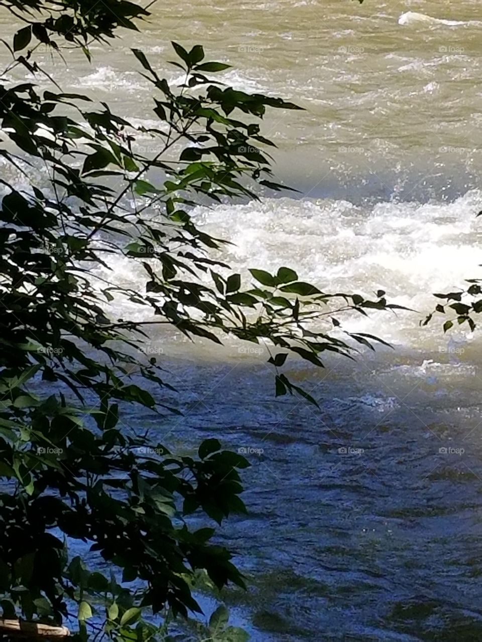 Riverside 
Chattahoohee River