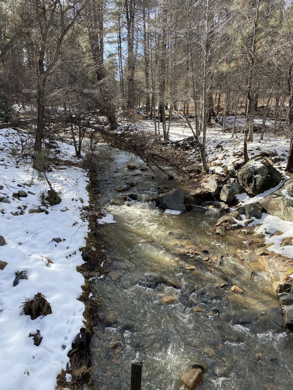 Winter’s presence along the forest creek is the perfect expression of nature and beauty.