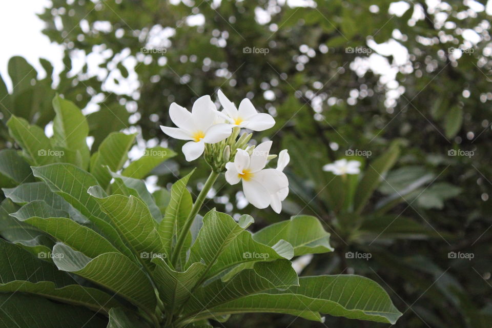 Be the beautiful one 