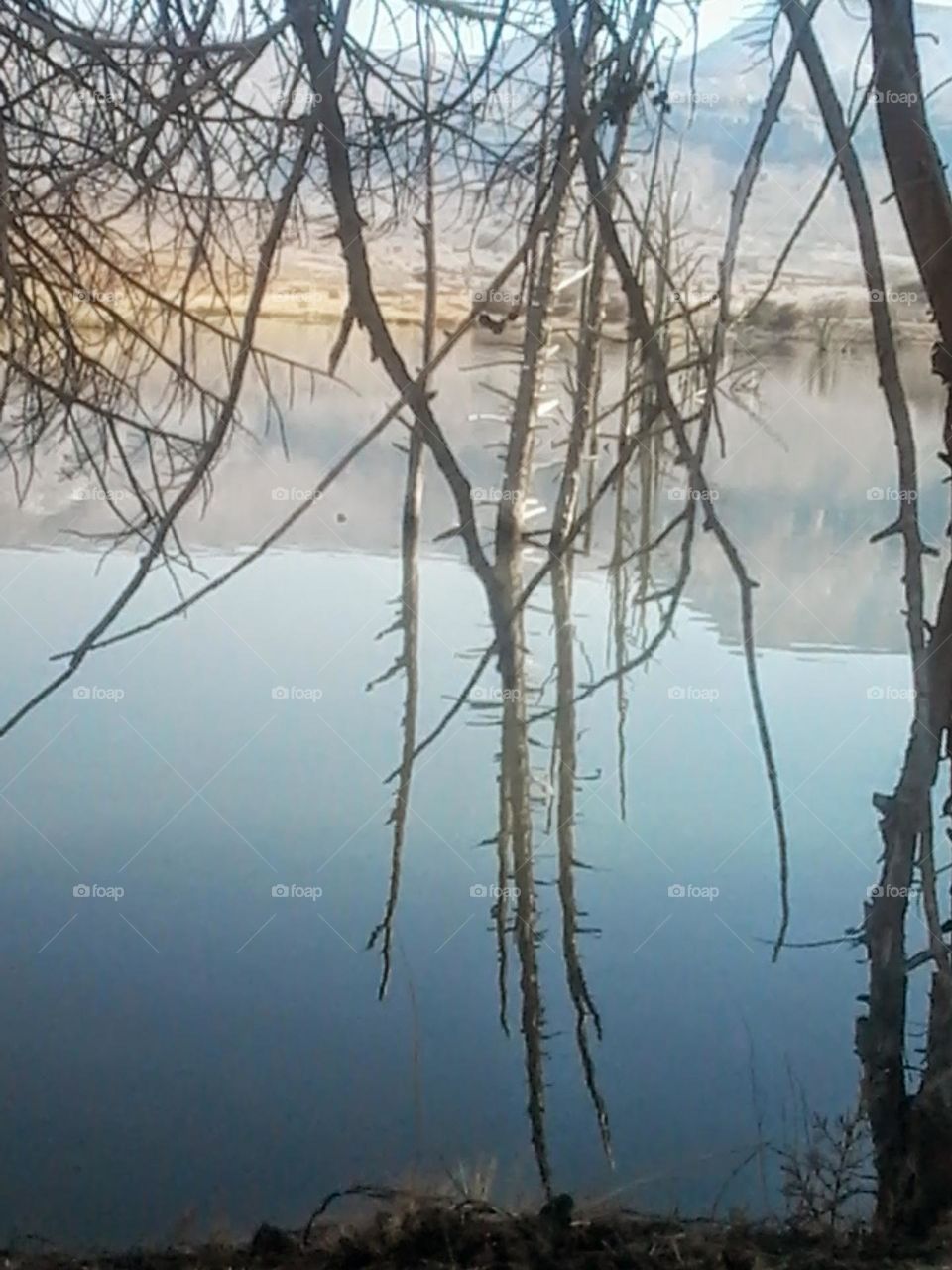 water pond mirror image