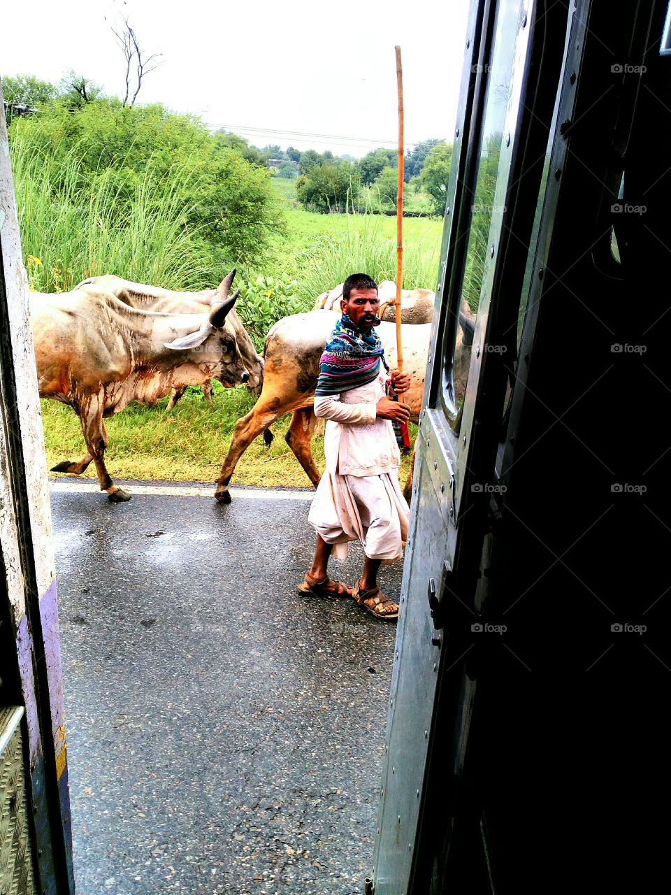 from window of a bus .