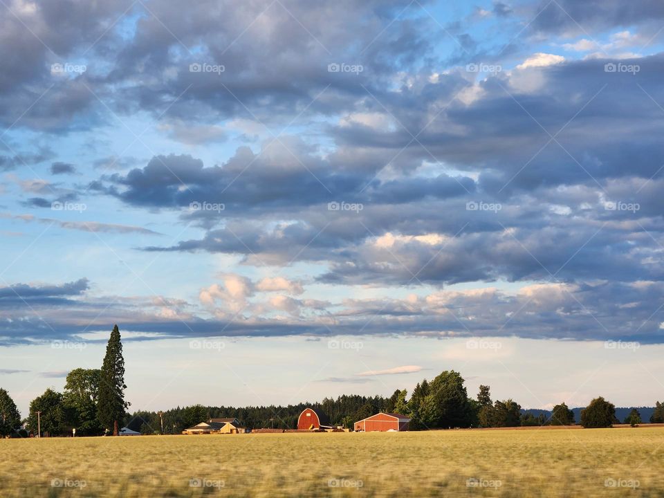 red farmhouse barn set back into golden fields against dark gray cloud blue sky background in Oregon Countryside