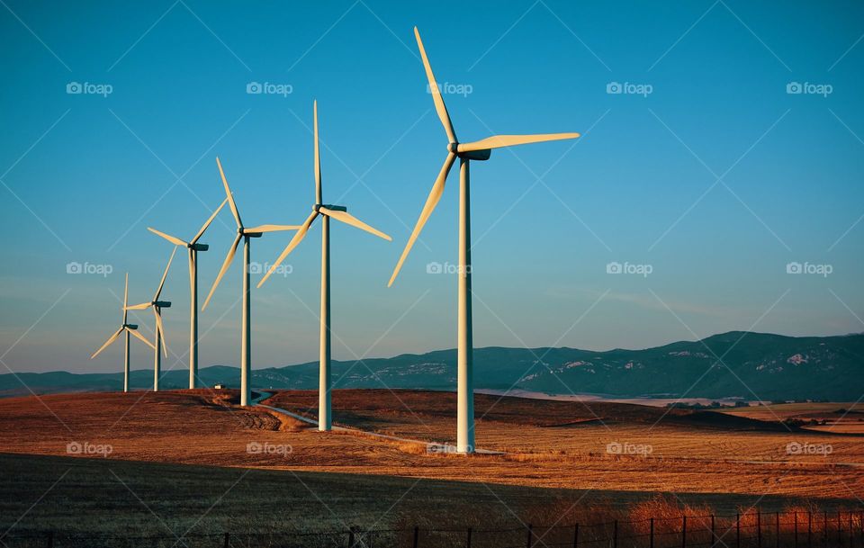 windmills on fields