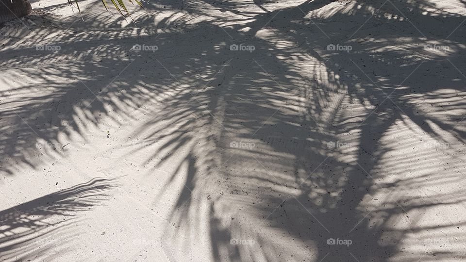Shadows on the ground at the beach side from palm tree leaves in Mombasa, Kenya