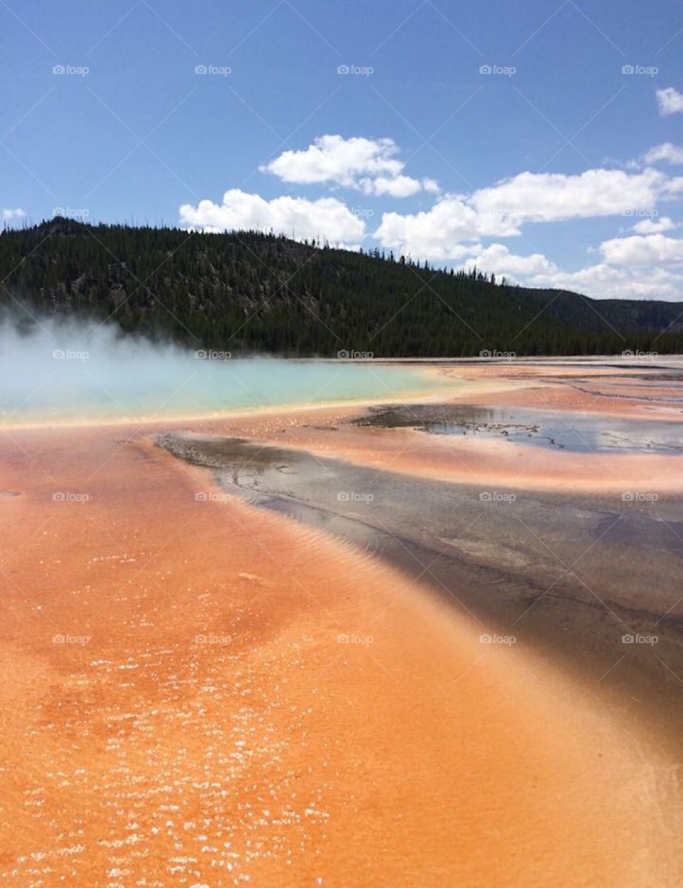 Beautiful Grand Prismatic Springs in Yellowstone National Park, Wyoming.