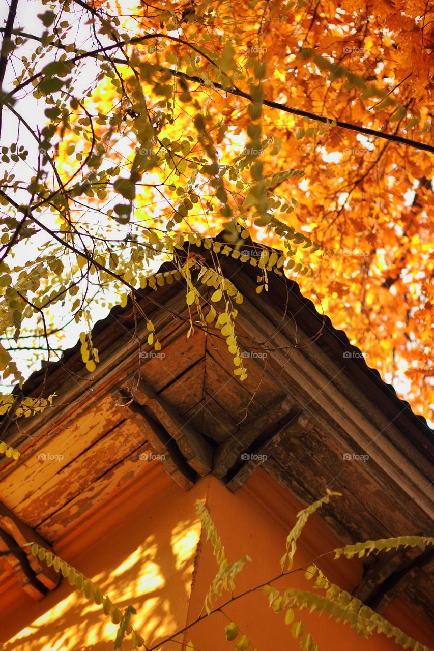 Corner of a house with an old roof and yellow walls in autumn leaves