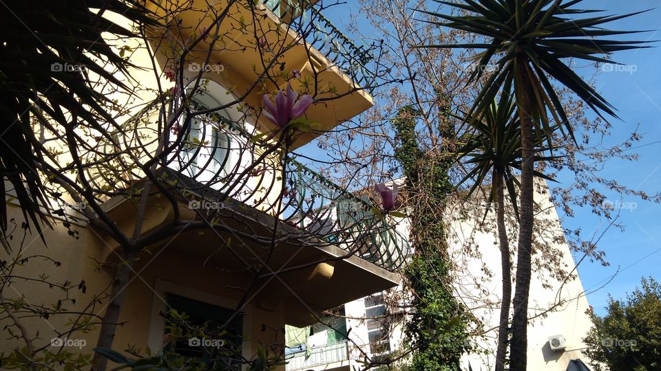 Balcony Surrounded With Spring Flowers And Trees