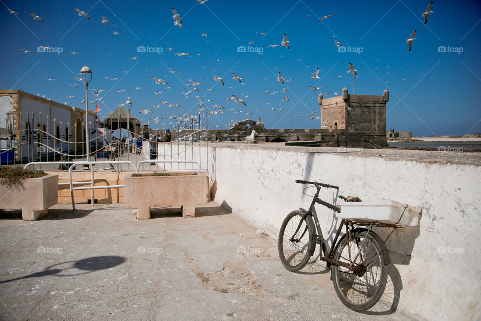 Essaouira