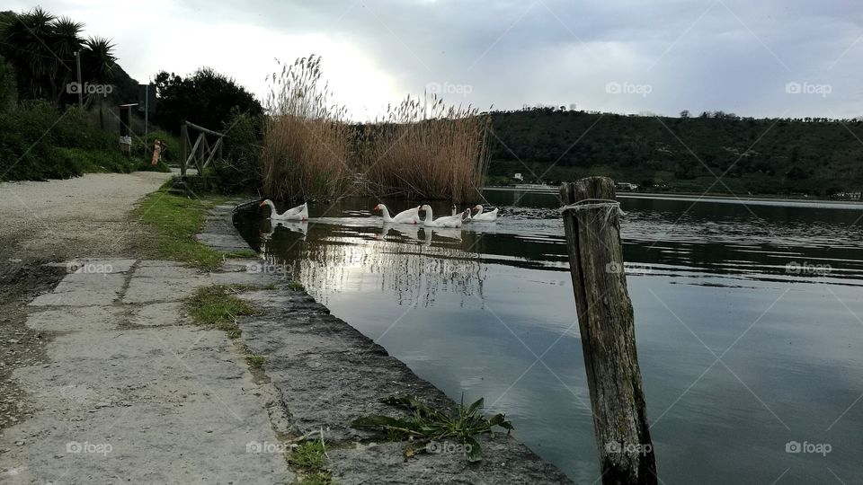 Lake Avernus