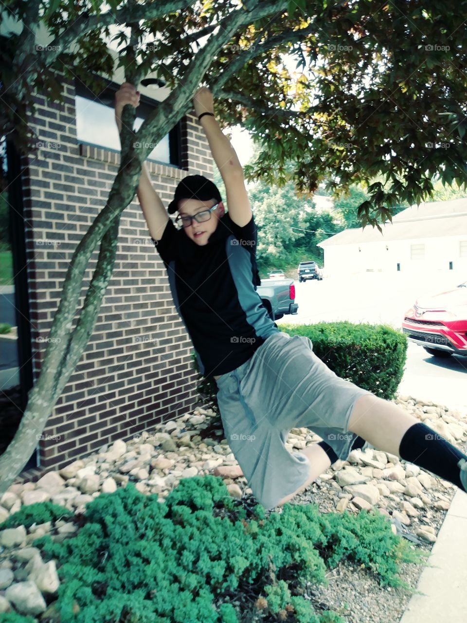 Boy swinging from a tree limb