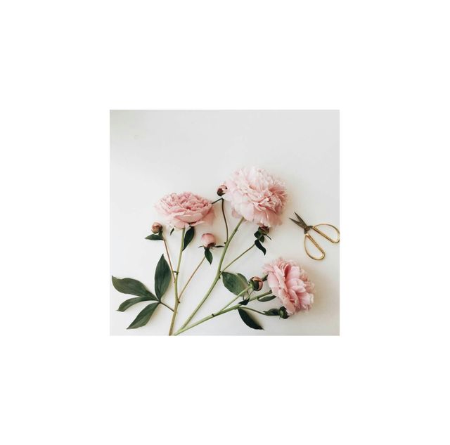 Flower Touch Summer