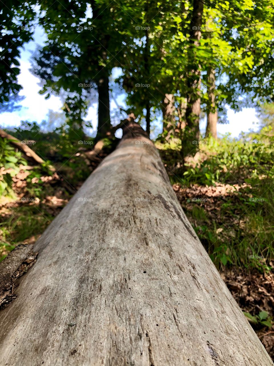 Nature hike 