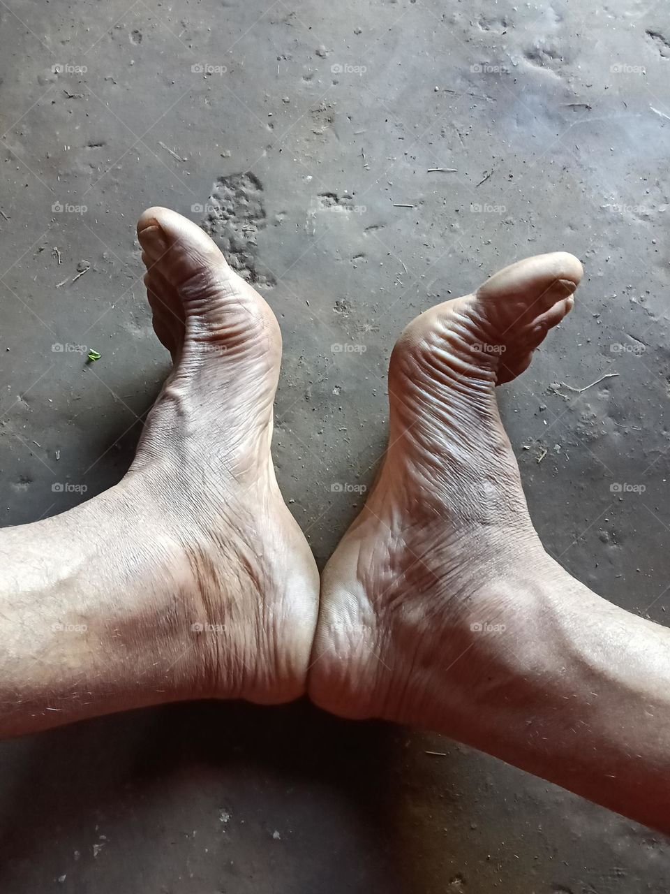 foot