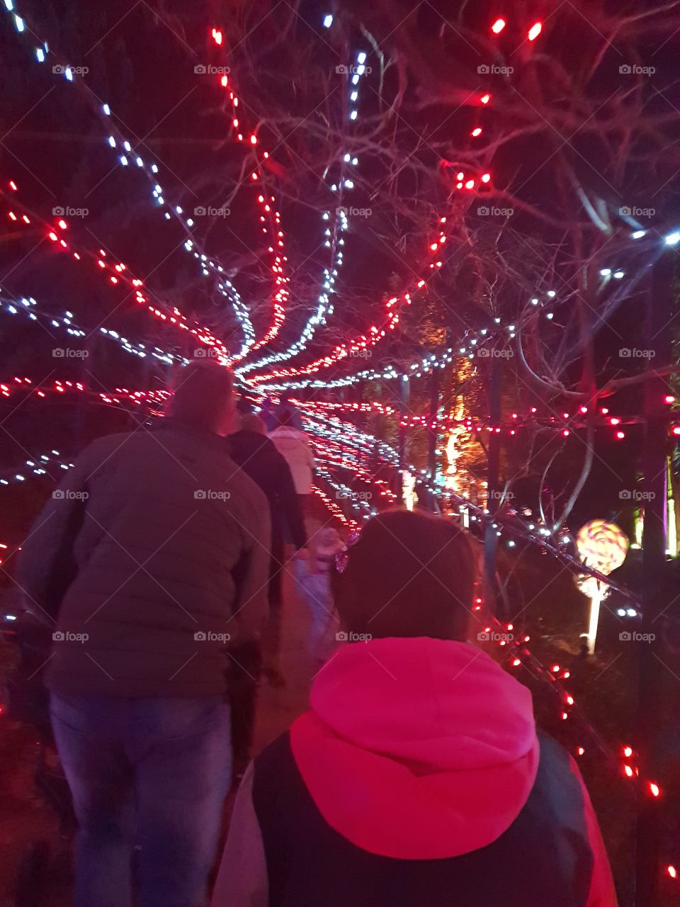 Blenheim Palace Christmas Light Trail filled with tunnels of sparkle