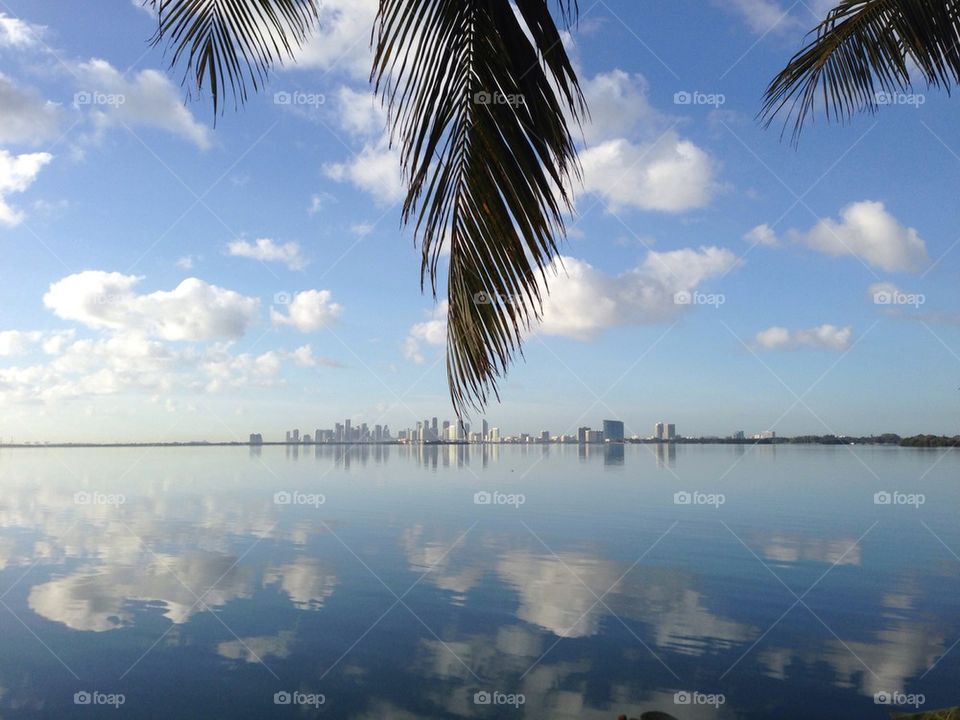 Miami Ditto Skyline