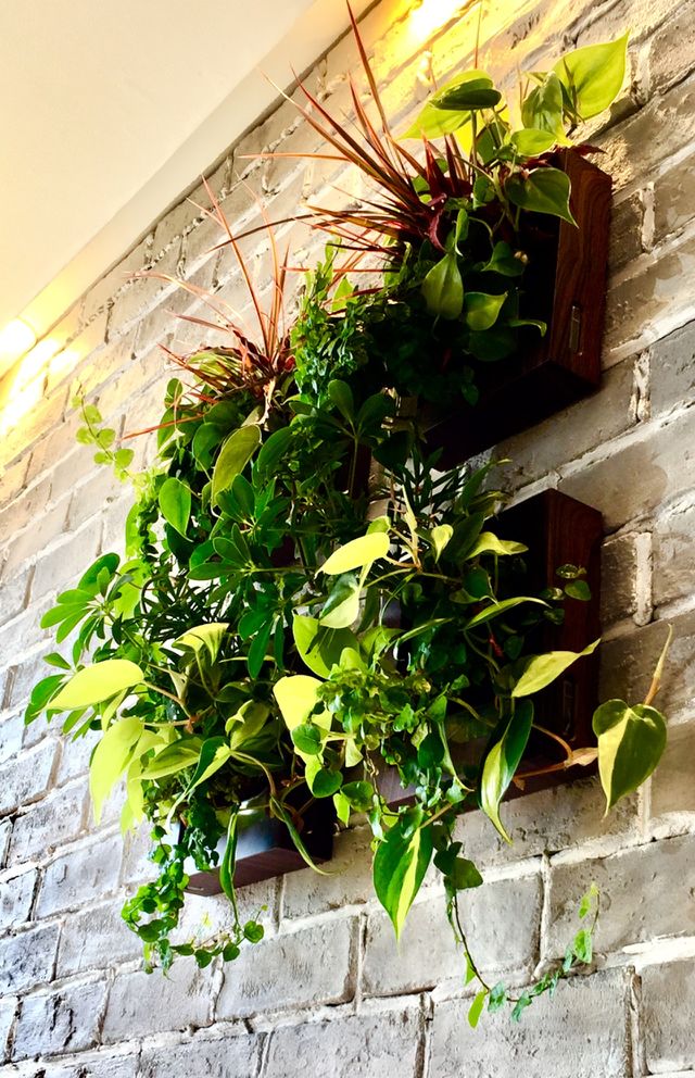 wall decoration