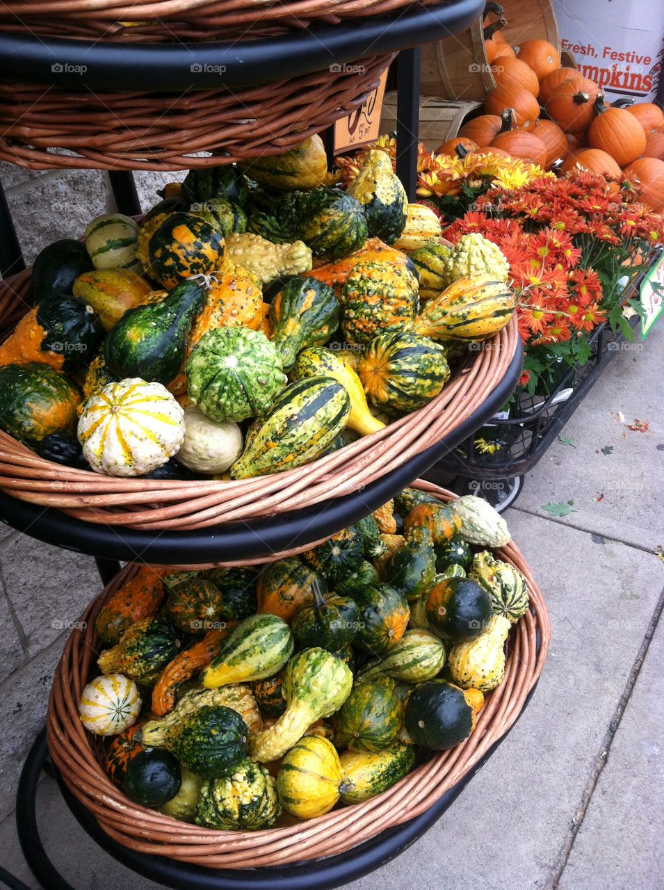 Vegetable, Market, Fall, Pumpkin, Food