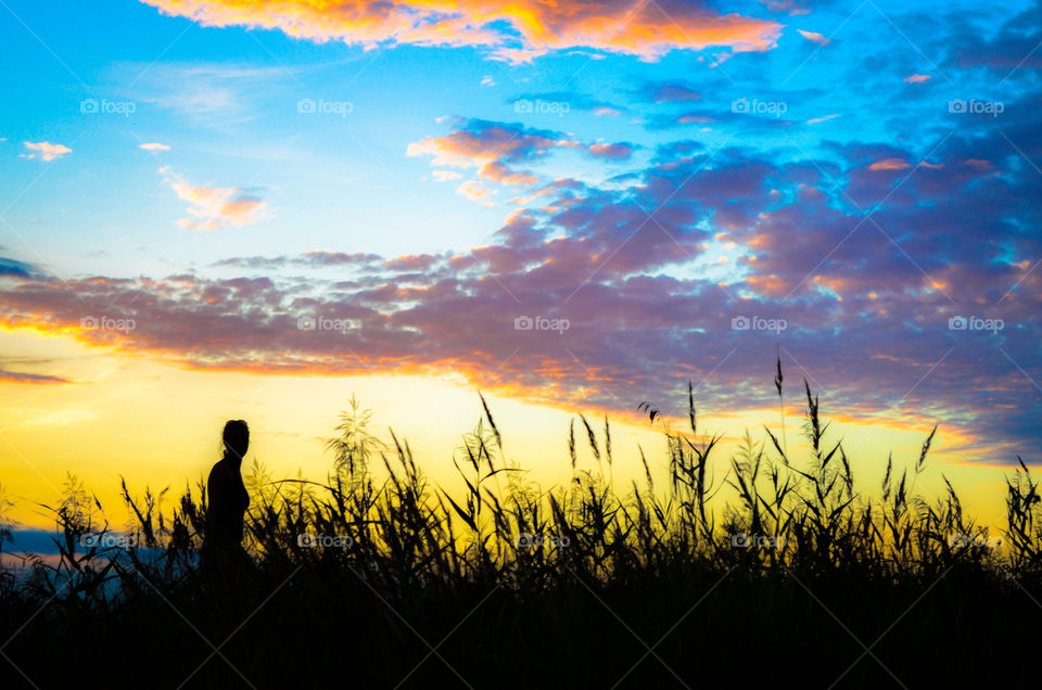 Silhouette of a woman behind wheat plants at sunset. The human profile adds a mystery to the beauty of the evening light. 