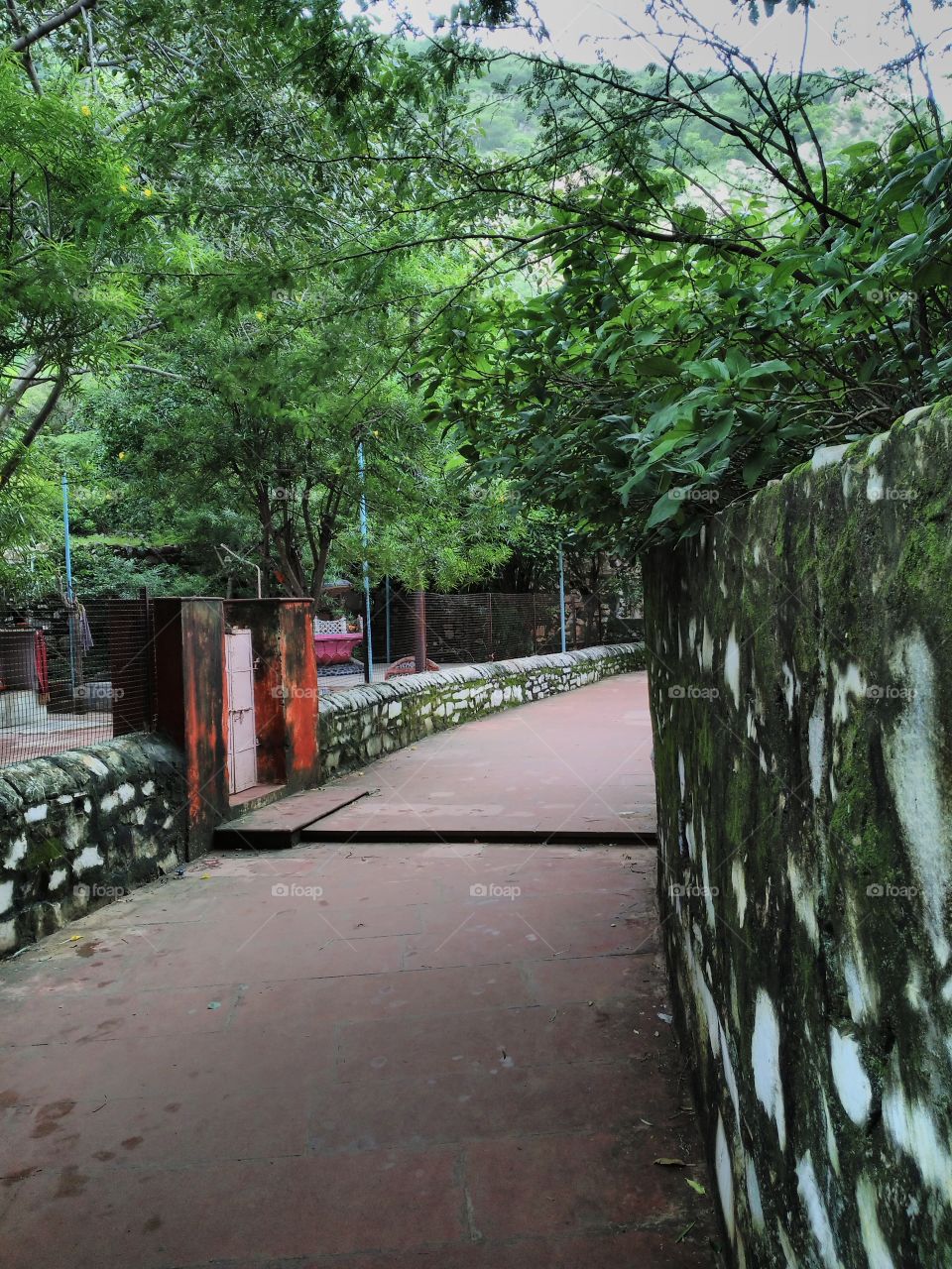 way to the local wildlife