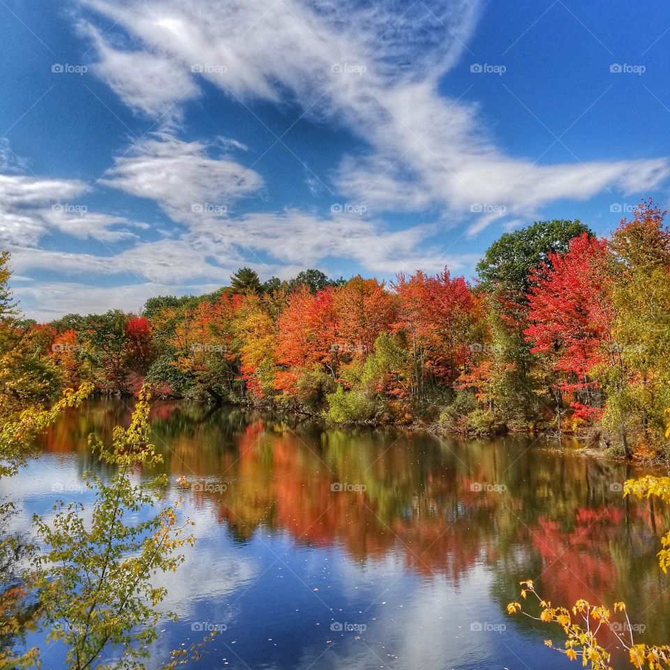 reflections of autumn