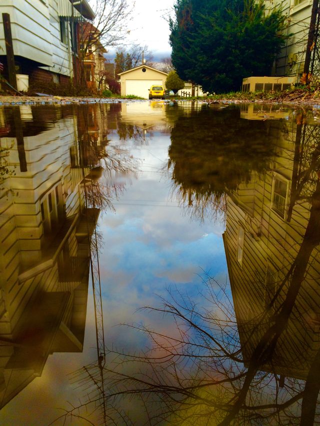 Reflection 