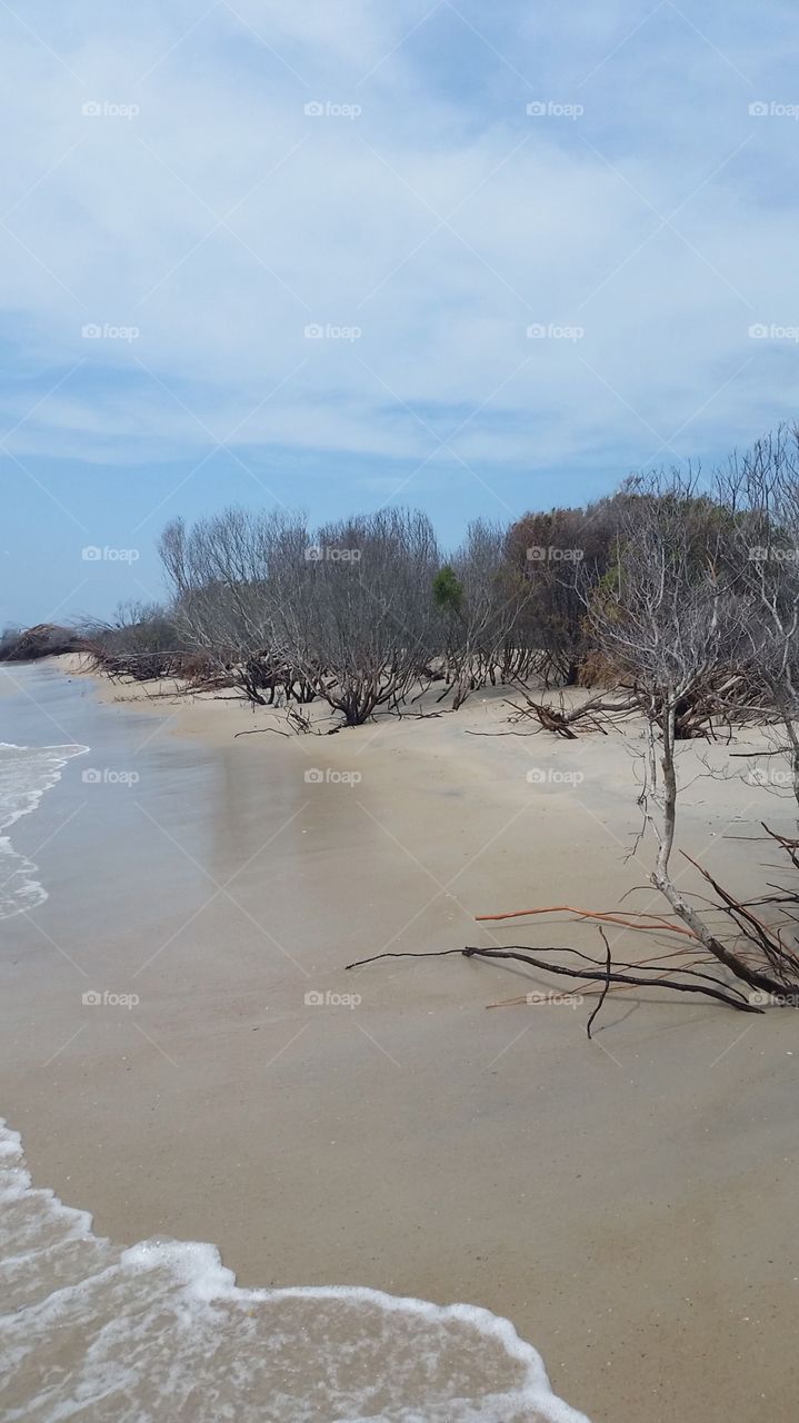 North Carolina 