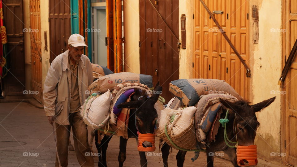 marruecos hombre con burros