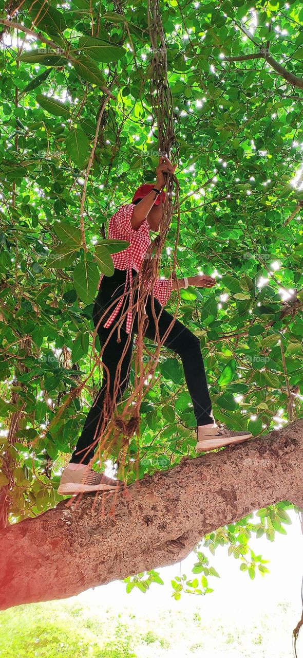 Swager Walk on the strongest road by mother Earth with support of the tree roots. Best dome shaped shade, cool enough to dropoff summer heat  and meditate.